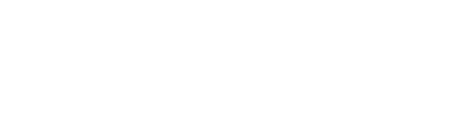 Wood Vibe BD